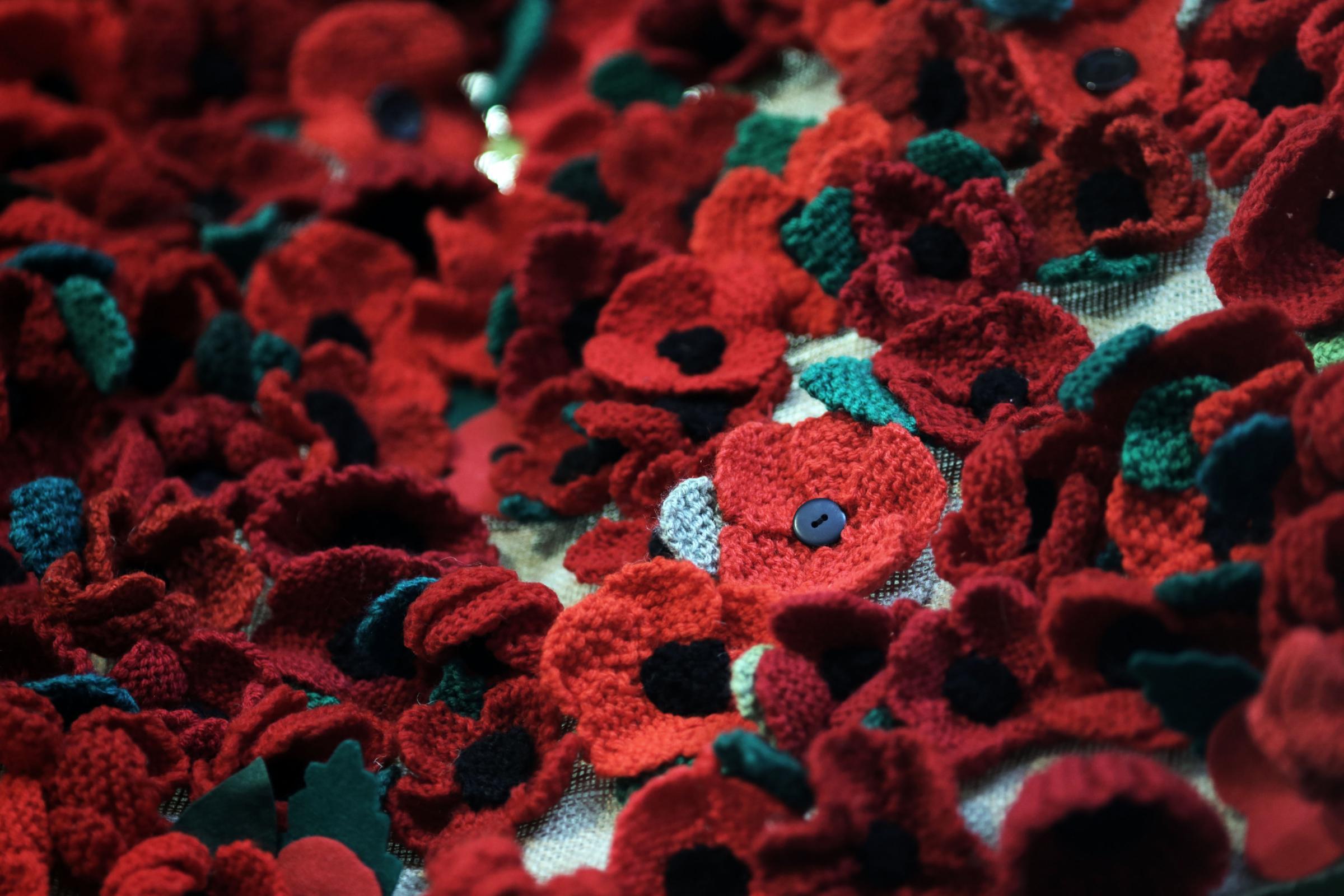 Darlington museum celebrates completion of WWI knitted poppy project