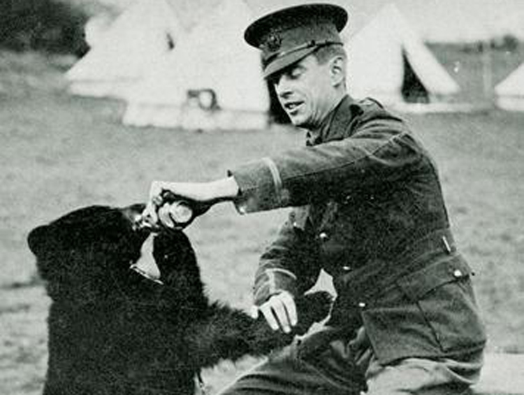 How Winnipeg the bear went to war