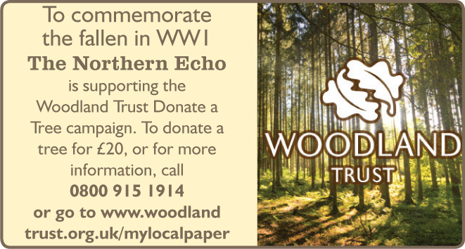 Help commemorate First World War with The Woodland Trust